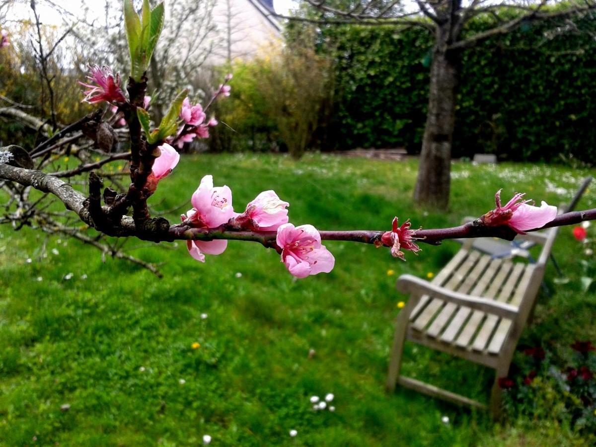 Maison La Chapelle Bed & Breakfast ภายนอก รูปภาพ